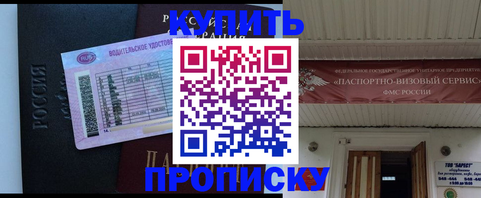 временная регистрация поиск в Палласовке